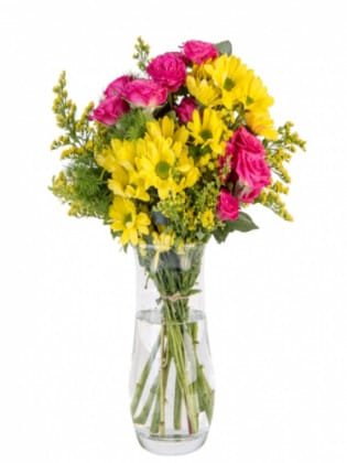 Sarı Papatya Pembe Güller