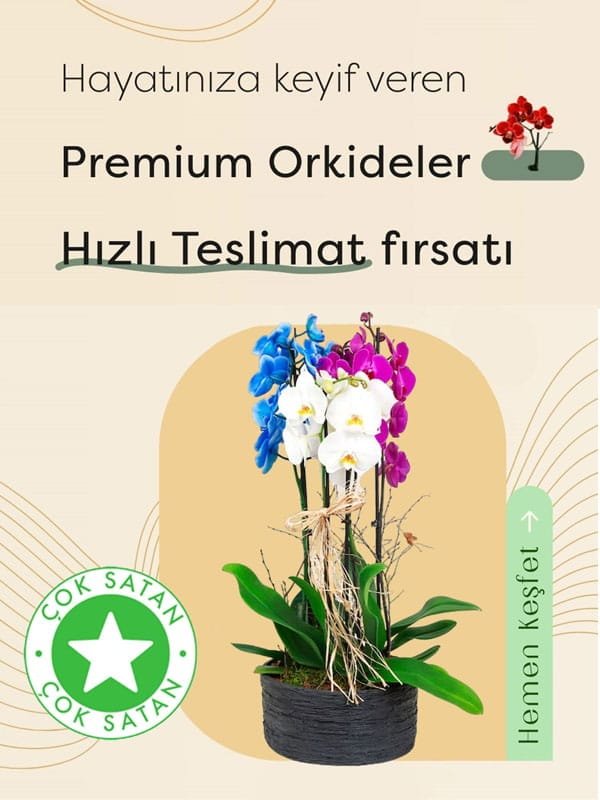 Antalya Lara Çiçek | Antalya Lara Çiçekçi &ndash; Aynı Gün Çiçek Teslimatı