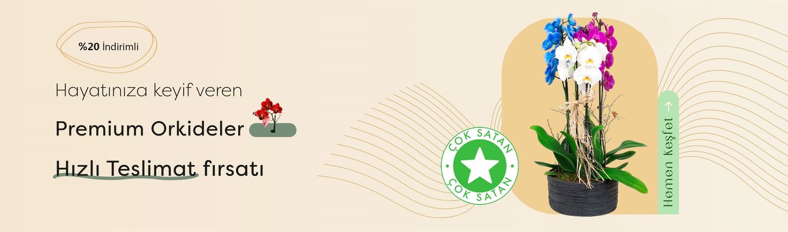 Antalya Lara Çiçek | Antalya Lara Çiçekçi &ndash; Aynı Gün Çiçek Teslimatı